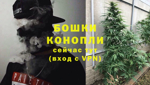каннабис Верея