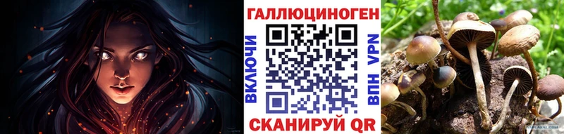 Псилоцибиновые грибы Cubensis  Северобайкальск 